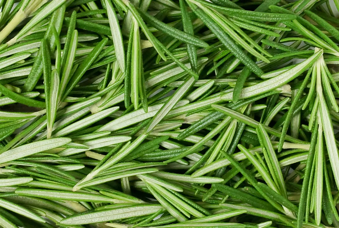 Roosmaryn